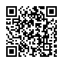 To view this 2014 Ford Flex St. George  from 4 Seasons Auto Sales, please scan this QR code with your smartphone or tablet to view the mobile version of this page.