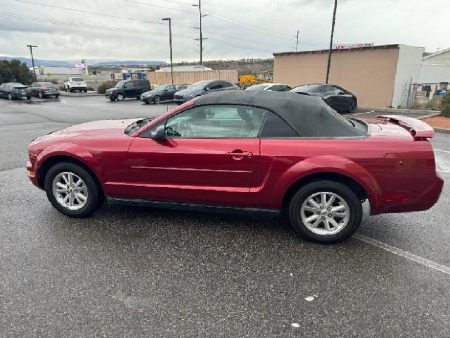 2006 Red Fire Metallic wi /Dark Charcoal/Red Le Ford Mustang V6 Deluxe Convertibl (1ZVFT84N065) with an 4.0L V6 SOHC 12V engine, 5-Speed Automatic transmission, located at 1865 East Red Hills Pkwy, St. George, 84770, (435) 628-0023, 37.120850, -113.543640 - We specialize in helping ALL people get the best financing available. No matter your credit score, good, bad or none we can get you an amazing rate. Had a bankruptcy, divorce, or repossessions? We give you the green light to get your credit back on the road. Low down and affordable payments that fit - Photo#3